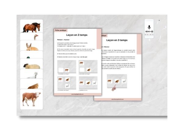 Farm Animals - Les animaux de la ferme