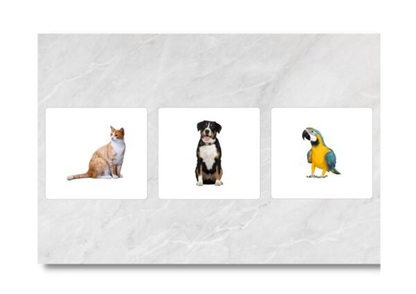 Pets - Les animaux domestiques – Image 3