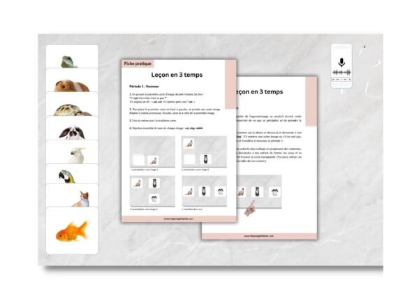 Pets - Les animaux domestiques