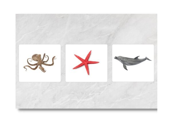 Sea Animals – Les animaux marins – Image 3